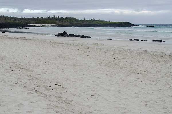 105 - Ecuador - islas Galapagos - isla Santa Cruz - playa de Pirata Bay